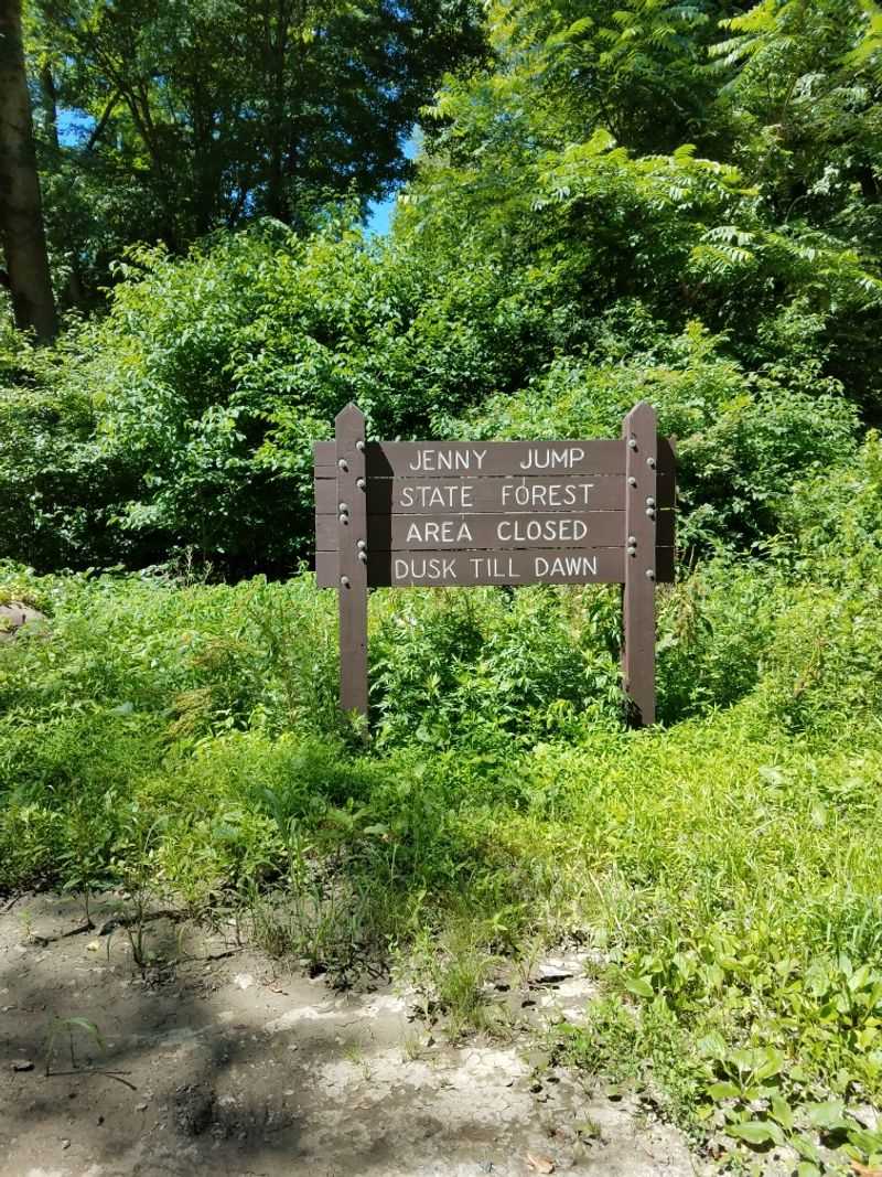 Wildlife Encounters and Natural Warnings