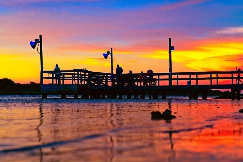 The Mosquitoes Everyone Warns You About