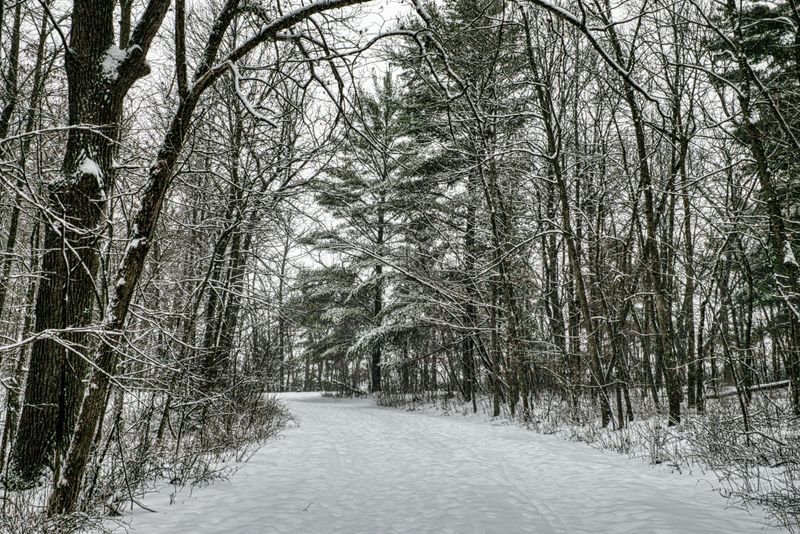 Winter That’s Embraced, Not Avoided