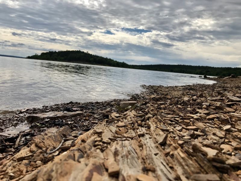 Wildlife Watching Beyond the Typical