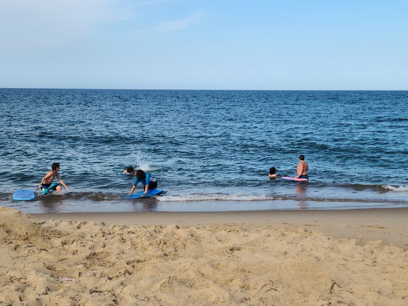 Dolphin Watching from the Shore