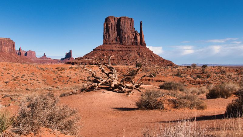 Environmental Damage Carries Real Penalties