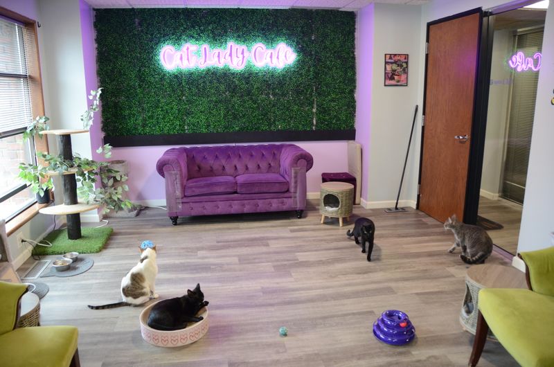 Therapeutic Relaxation And Stress Relief Experience