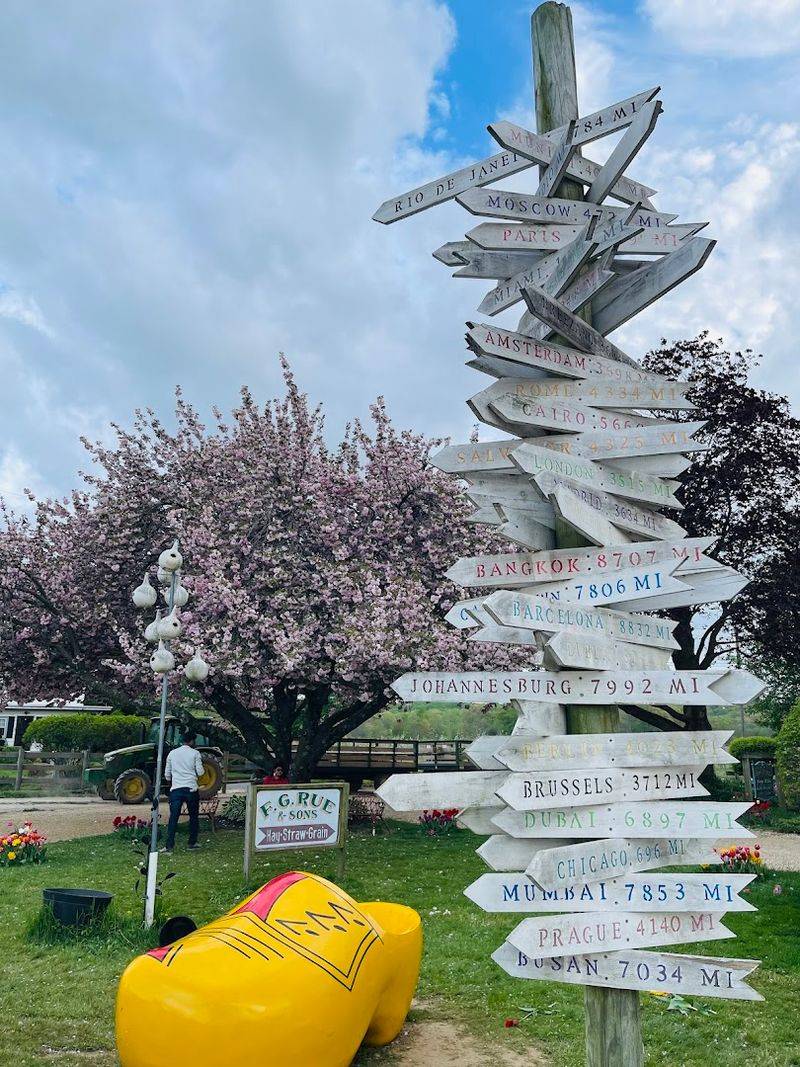 Practical Tips For Making The Most Of Your Visit