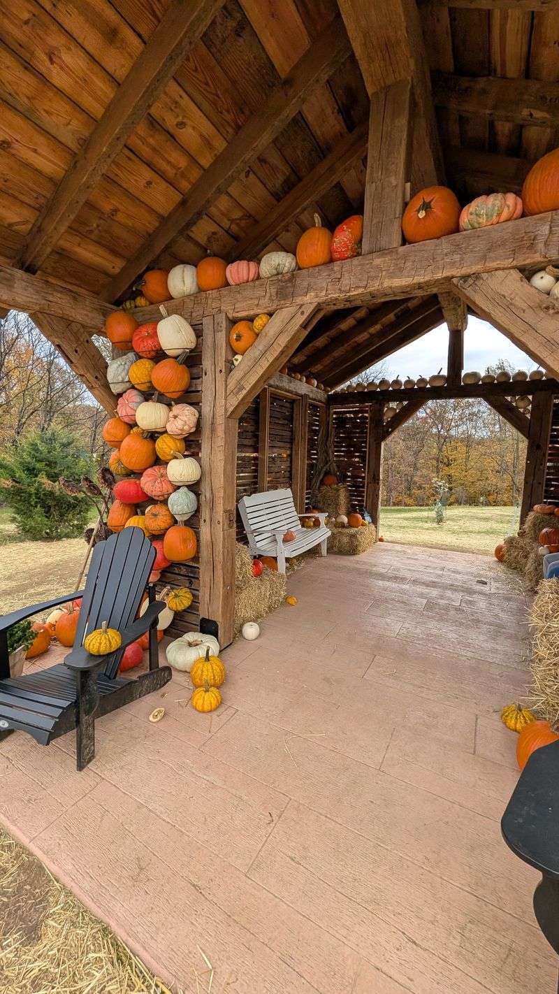 Western Town Offers Old-Fashioned Entertainment