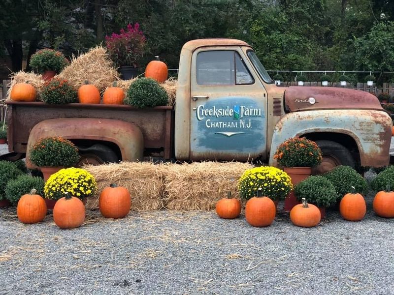 Seasonal Decorations And Holiday Specialties