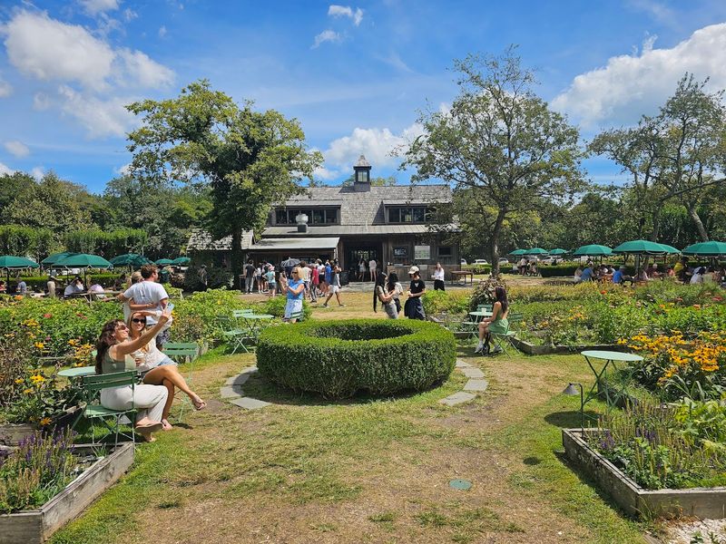 The Lima Bean Festival and Community Spirit