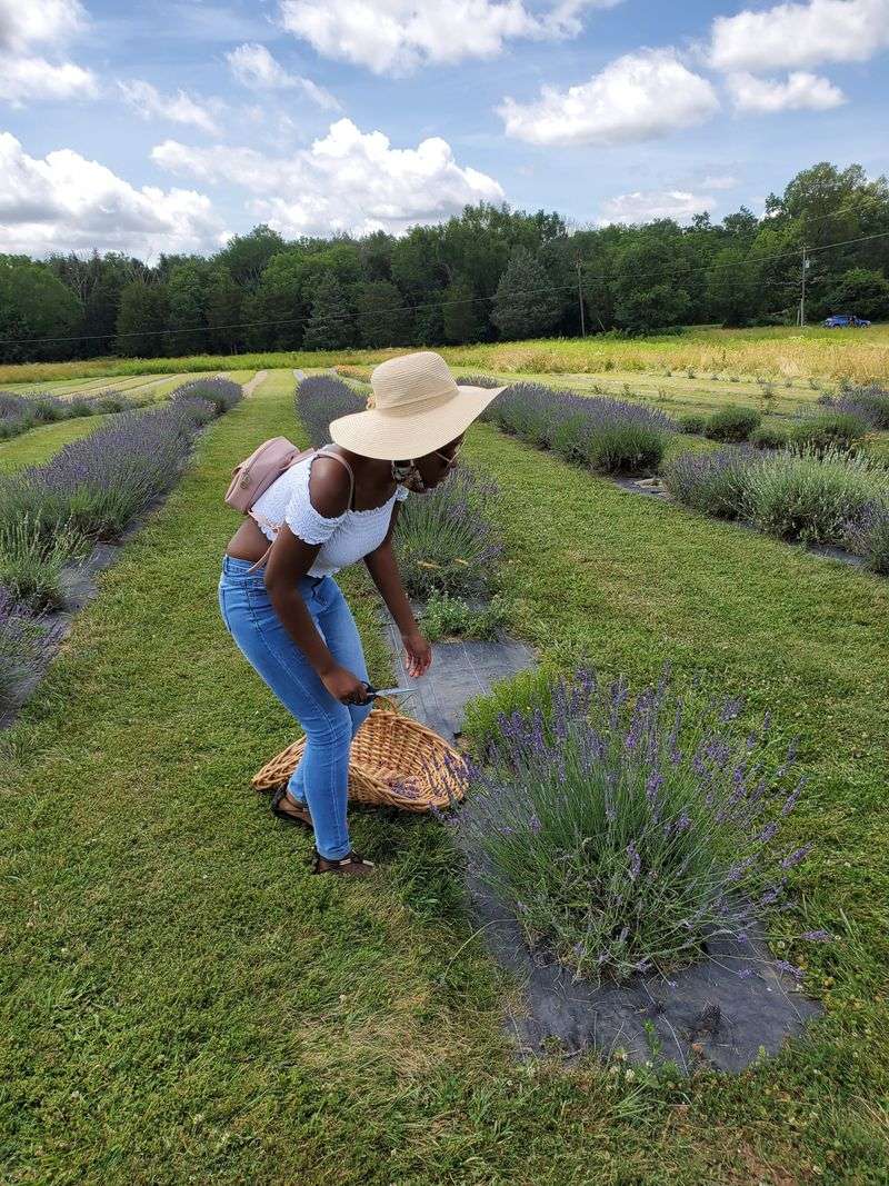 U-Pick Experience That Connects You To The Land