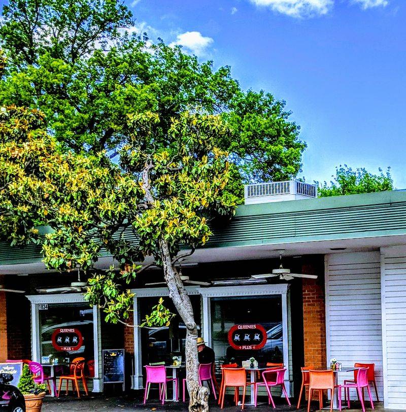 Patio Seating Designed with Dogs in Mind