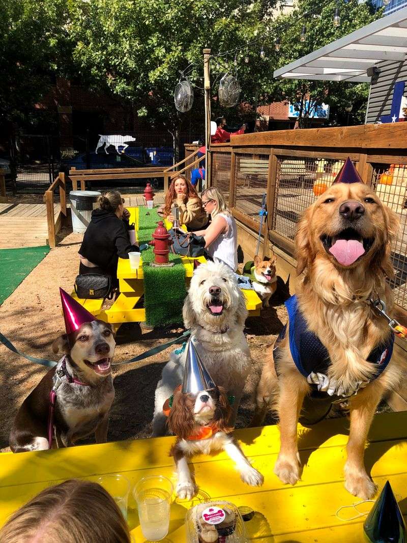 An Experience Built Around Shared Time