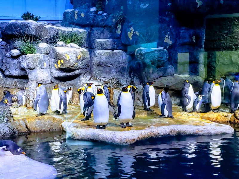 Ice Land Delivers Arctic Temperatures and Art