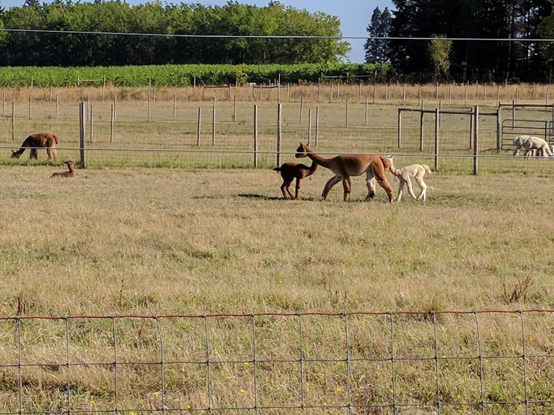 Why Marquam Hill Ranch Deserves a Spot on Your Oregon Itinerary