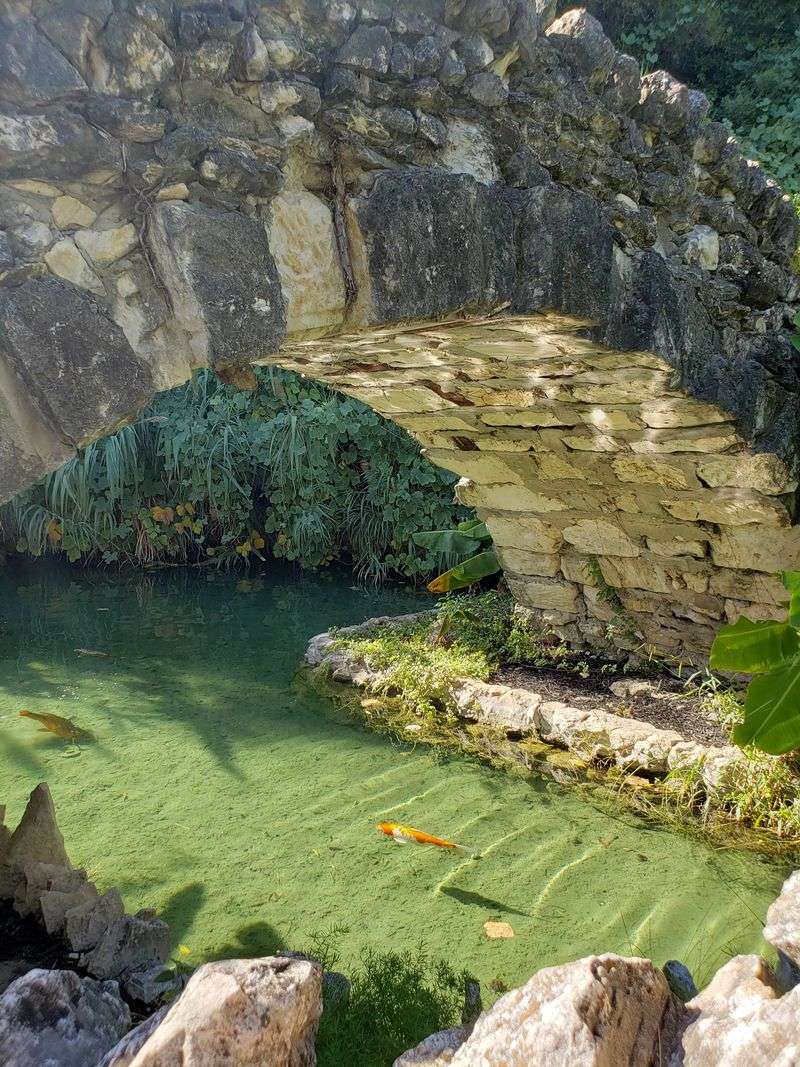 The Koi Ponds and Stone Bridges
