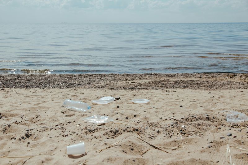Pollution And Debris Risks