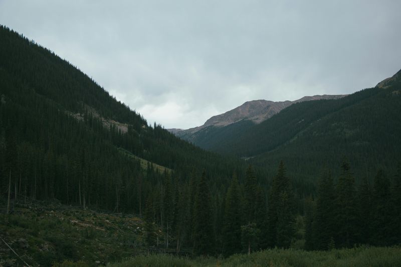 Wildlife Loses Critical Habitat