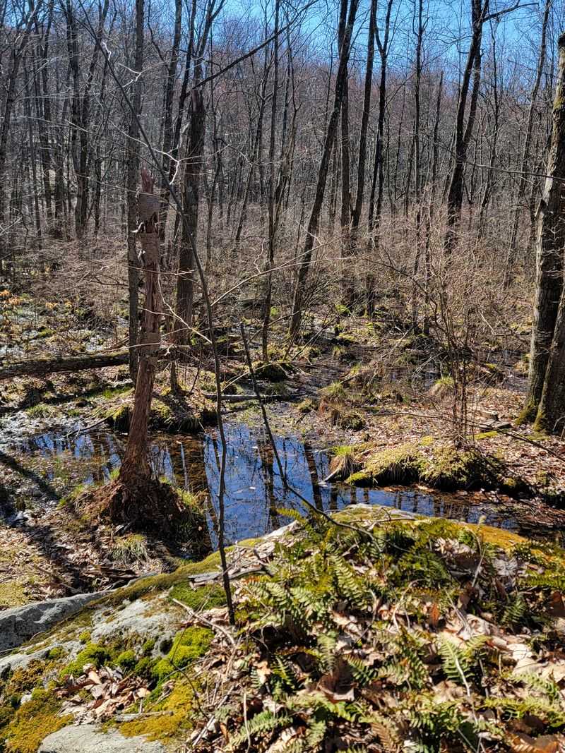 Scenic Walking Trails With Postcard-Perfect Views