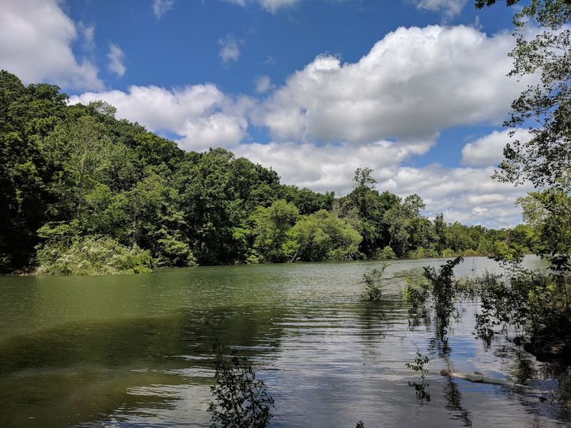 Local Folks Who Still Wave