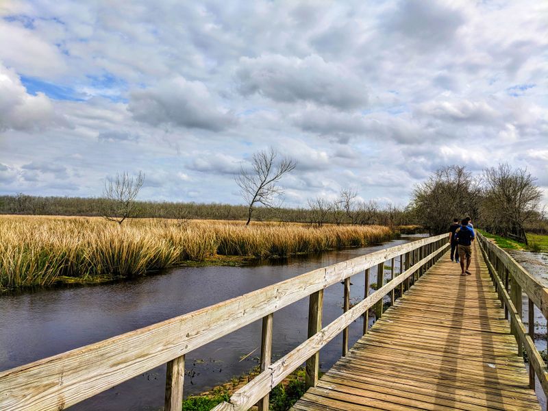 Spotting Armadillos and Other Wildlife