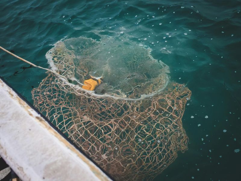 Boats, Nets, And The Sound Of Wind Against Wood