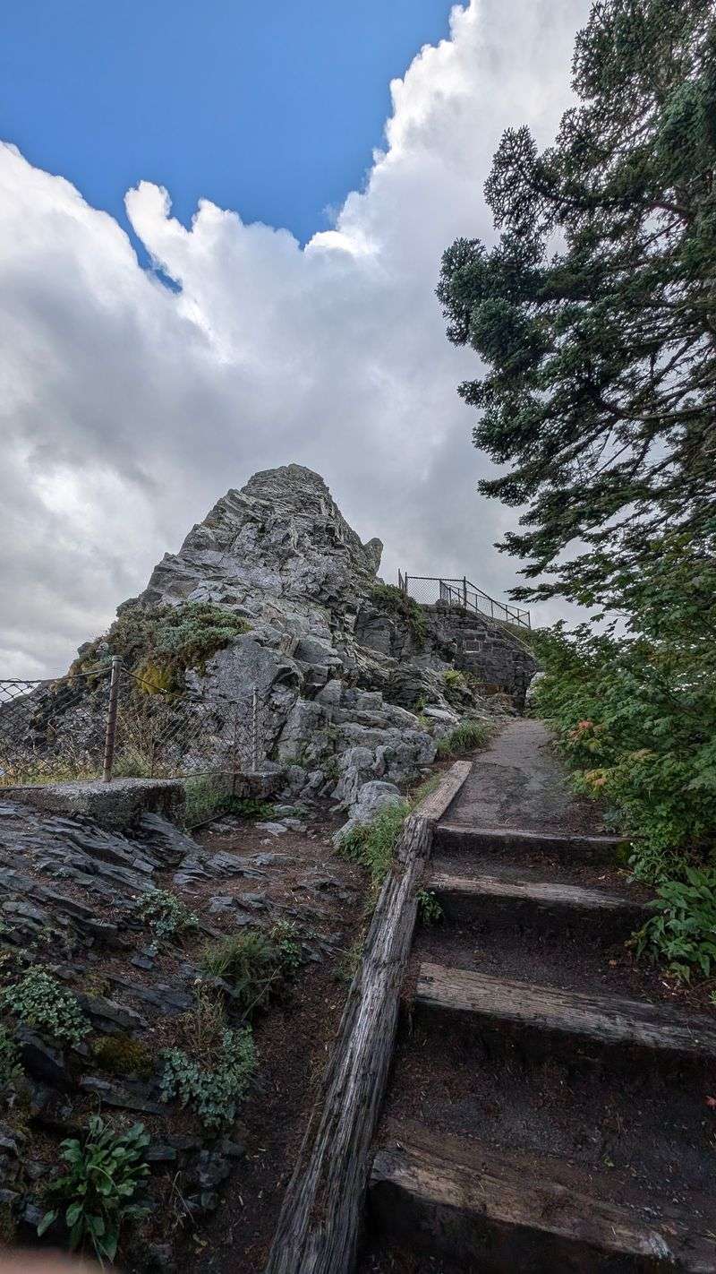 The Volcanic Heart of Larch Mountain