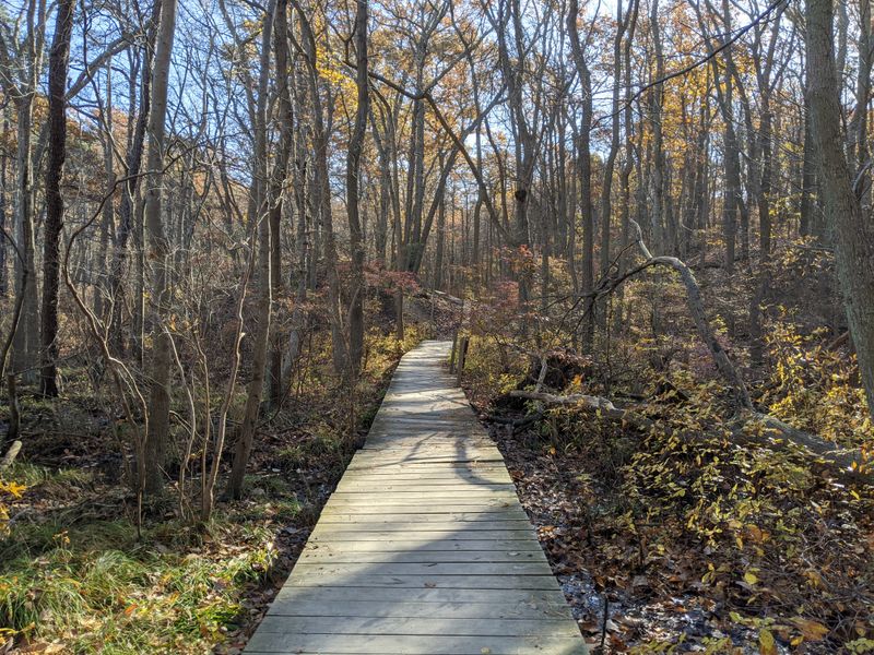 Trails That Tell Different Stories