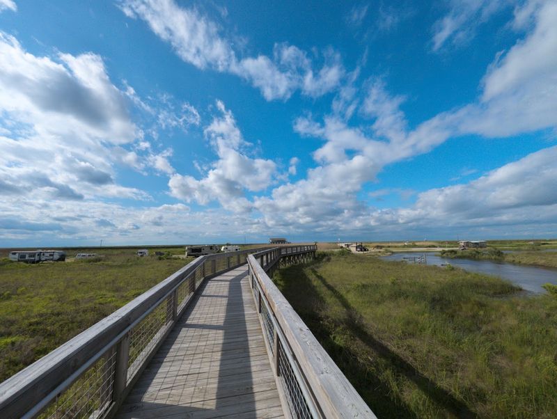 Birding at the Water's Edge