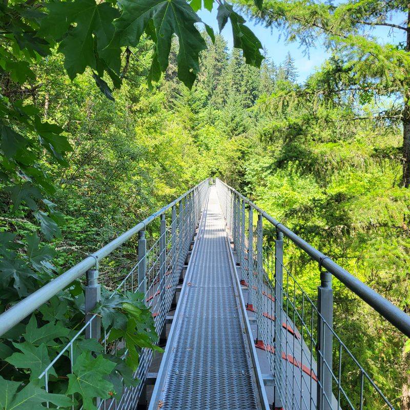 Railroad Tracks Add Extra Interest