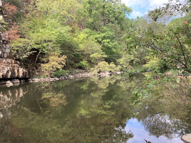 Wildlife Along the Banks That Will Surprise You