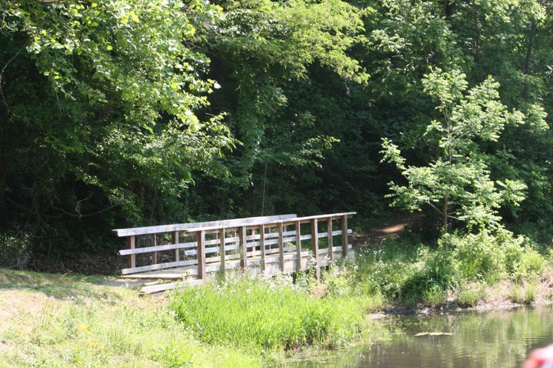 Dusk Turns The Marsh Into A Shadow Theater