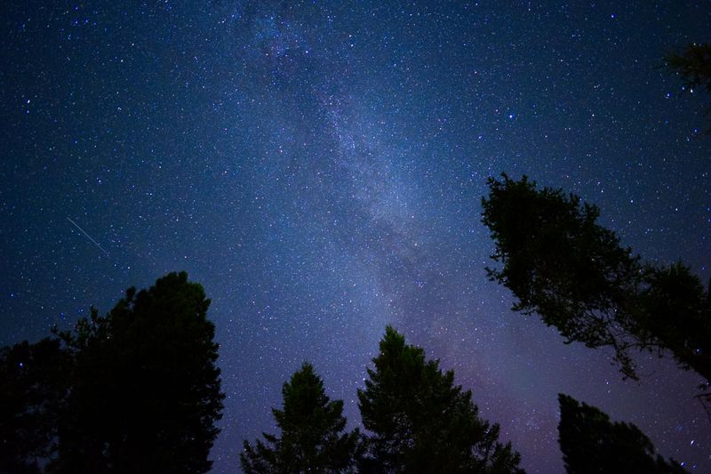 Stargazing That Feels Unreal Stargazing That Feels Unreal