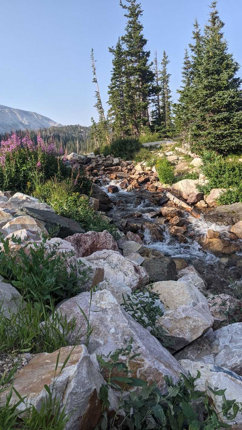 Photographers Searching For Perfect Color Without Context