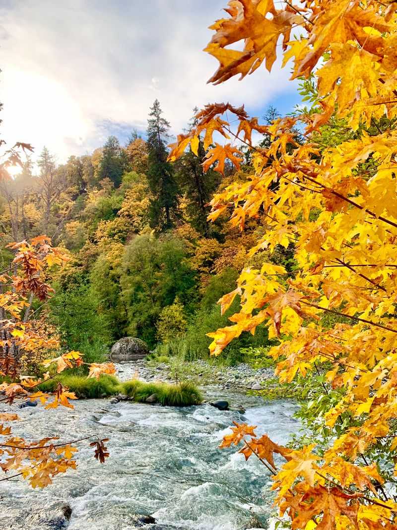 Close to Downtown Hood River