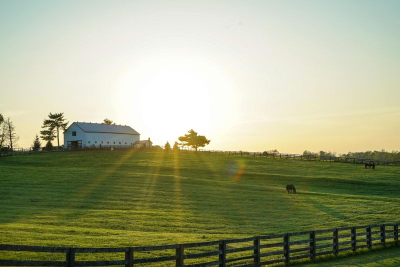 Small Farms Instead Of Vast Open Plains