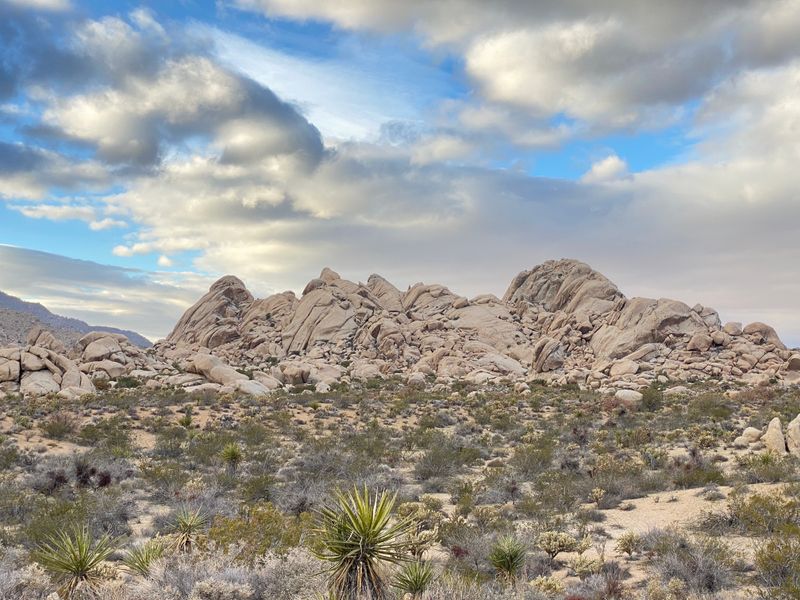 Mojave Trails National Monument