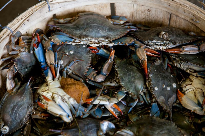 Food Culture Is Deeply Regional