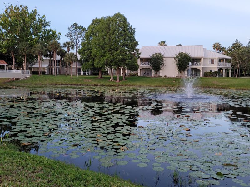 Seasonal Travel Actually Changes The Experience