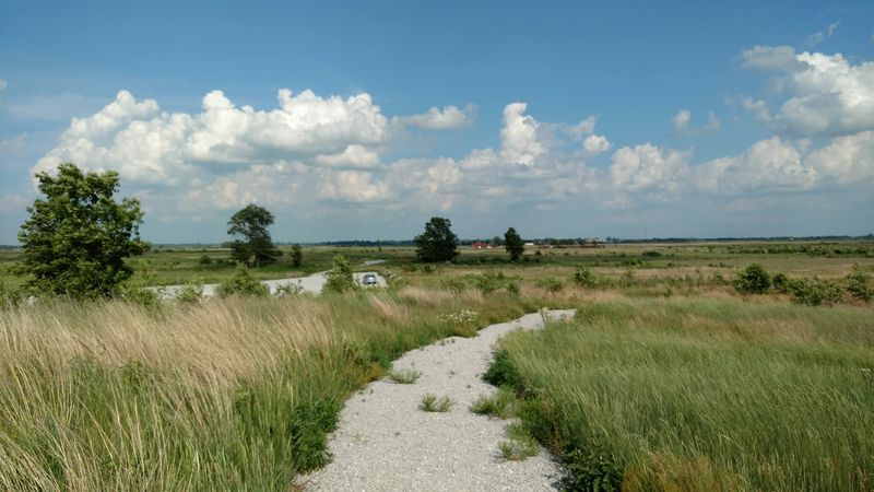 Miles of Scenic Trails Through Restored Prairie and Savanna