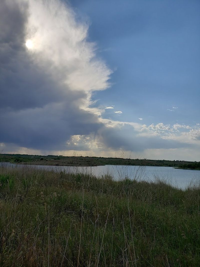 Wildlife Watching Without Trying Too Hard