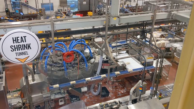 The Famous Squeaky Cheese Curds