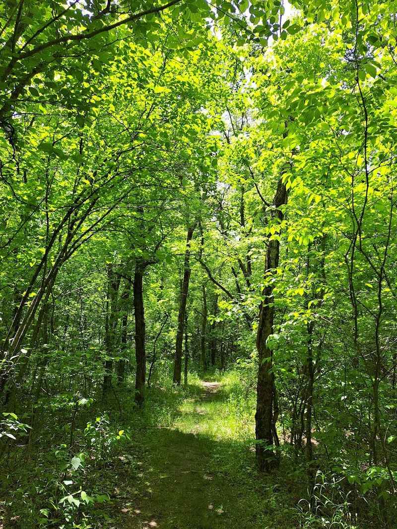 Practical Things Nobody Warned You About Before You Went