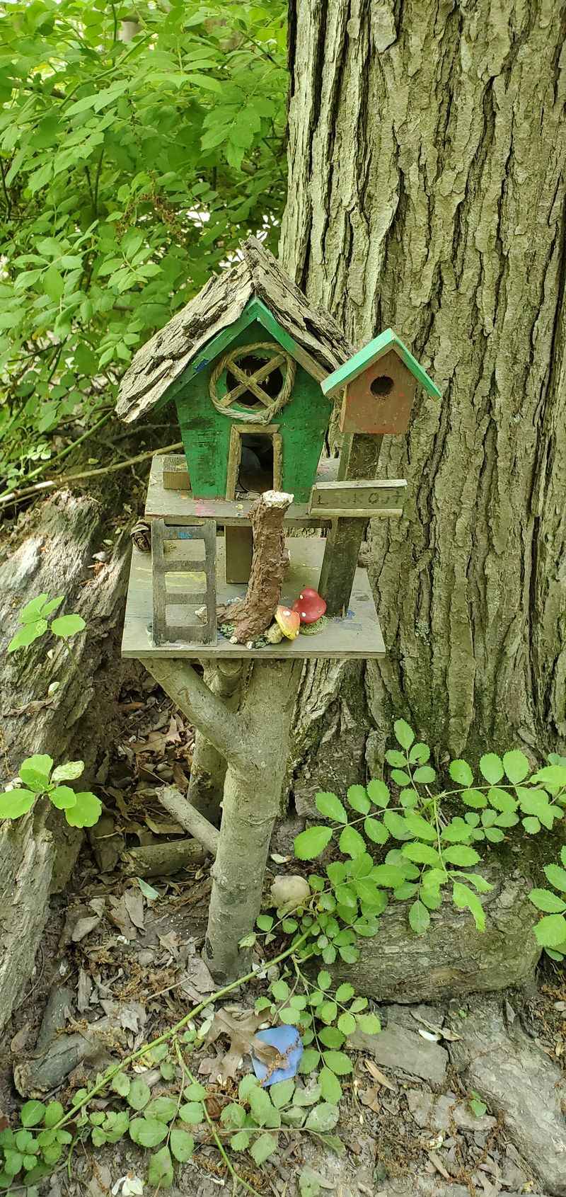 Connect to Longer Trails for Extended Adventures