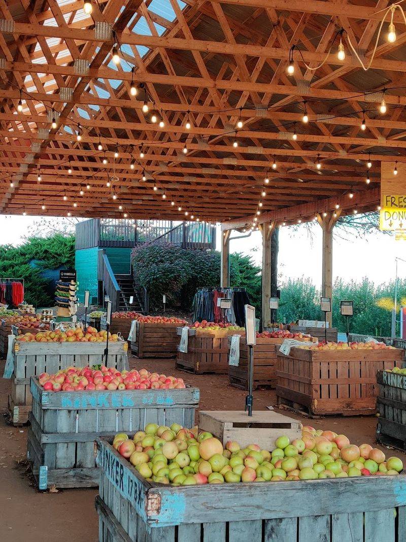 Why Timing Your Visit Matters