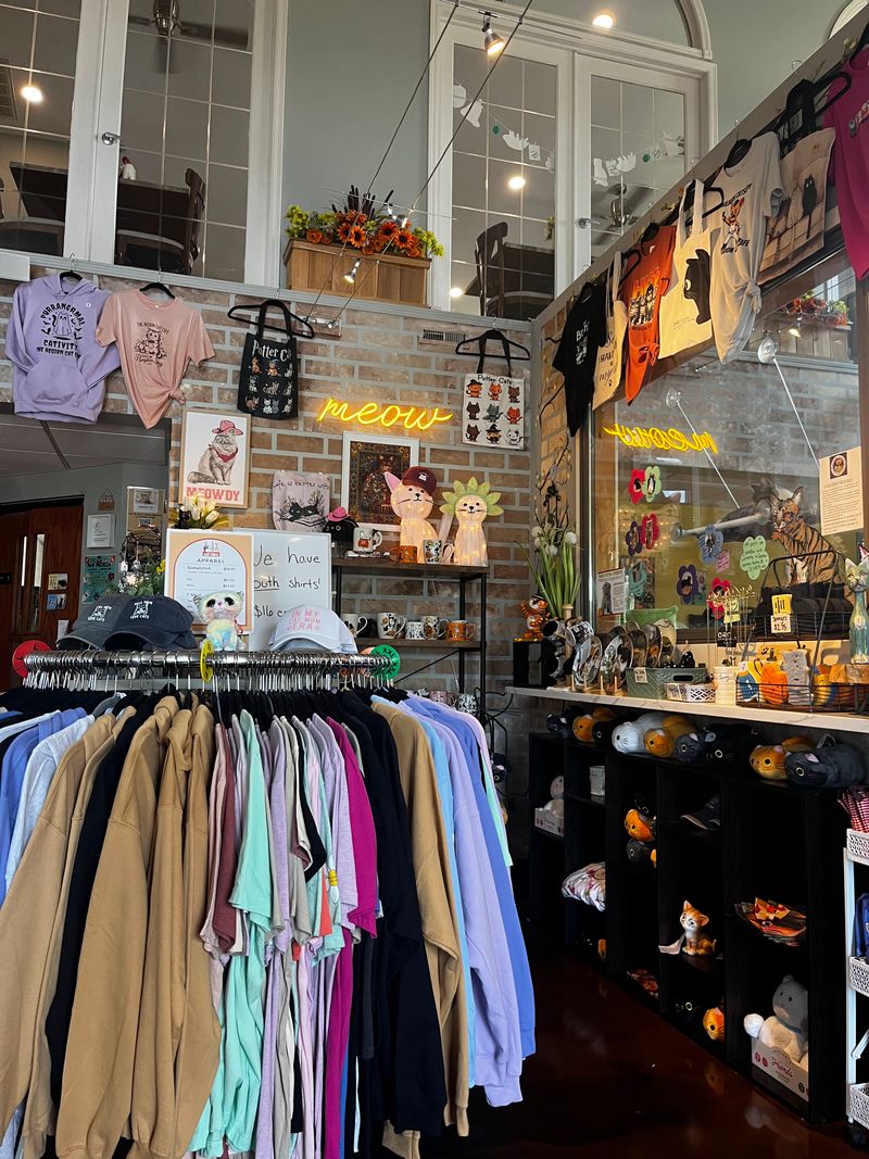 A Gift Shop Full Of Cat-Themed Treasures And Merchandise