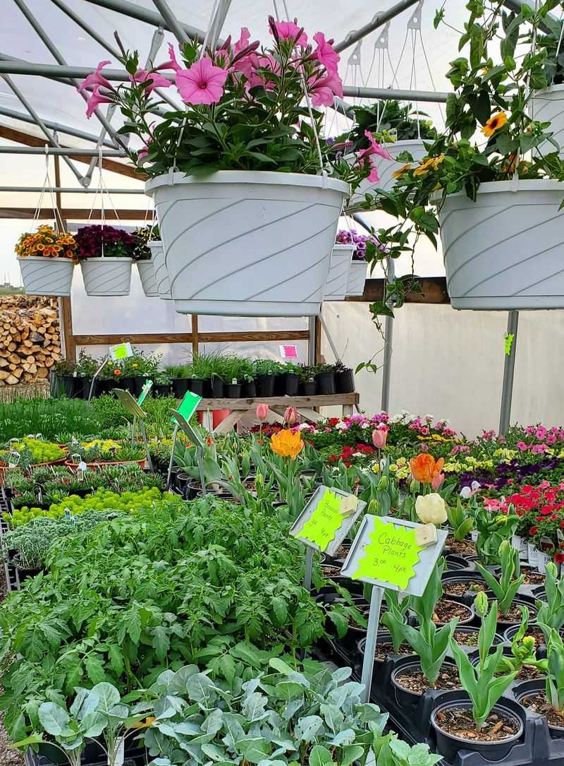 Garden Seeds and Supplies Fill Multiple Aisles