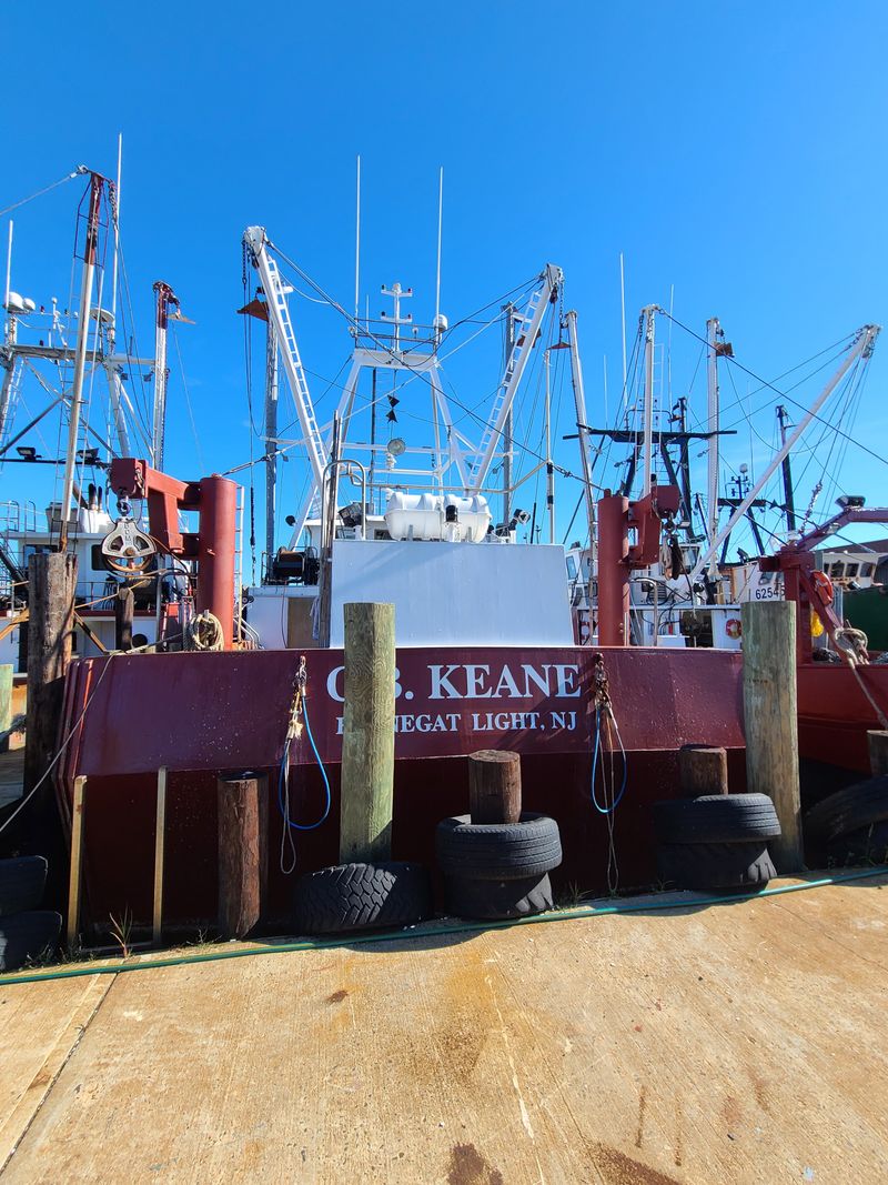 Direct-from-Boat Purchasing That Guarantees Ultimate Freshness