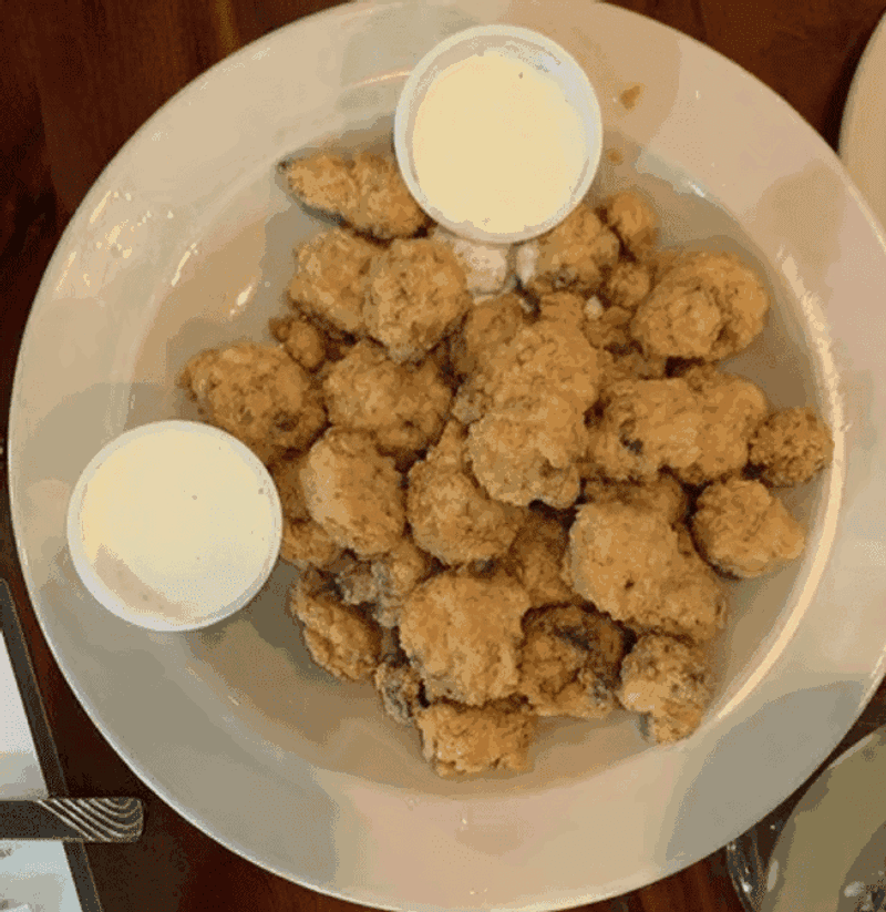 Fried Alligator Worth The Adventure