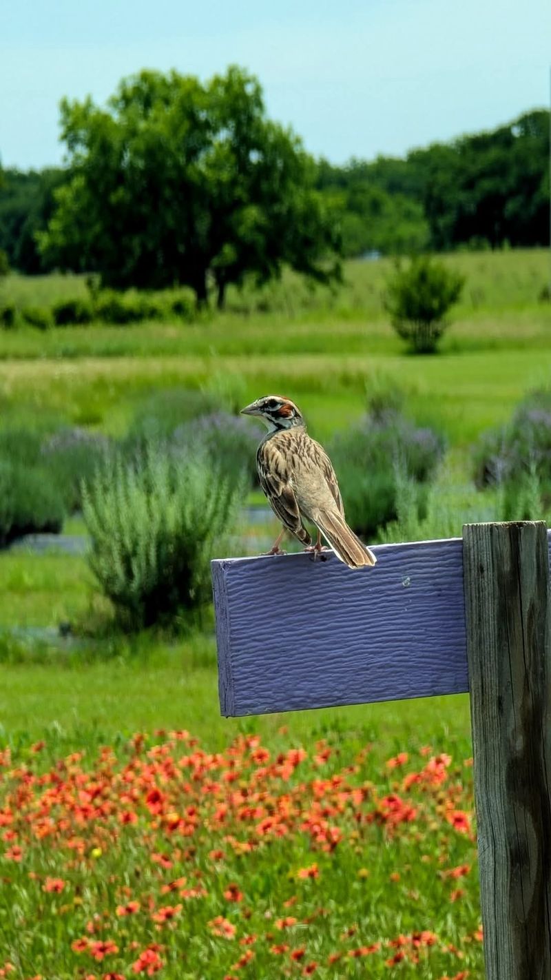 A Photographer's Dream Location