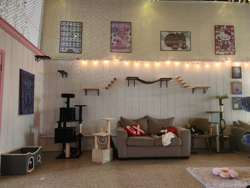 Clean and Organized Space Maintains High Standards