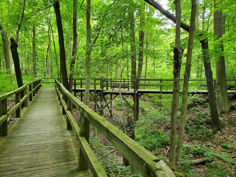 Proximity to Potato Creek State Park Makes It a Perfect Day Trip