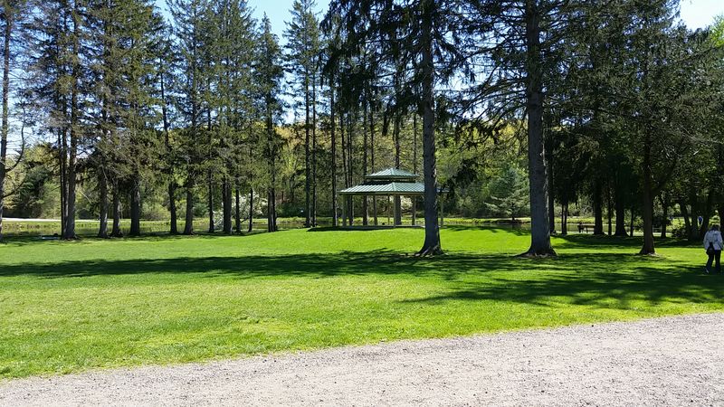 What You Can Still See, Without Trespassing Or Risk